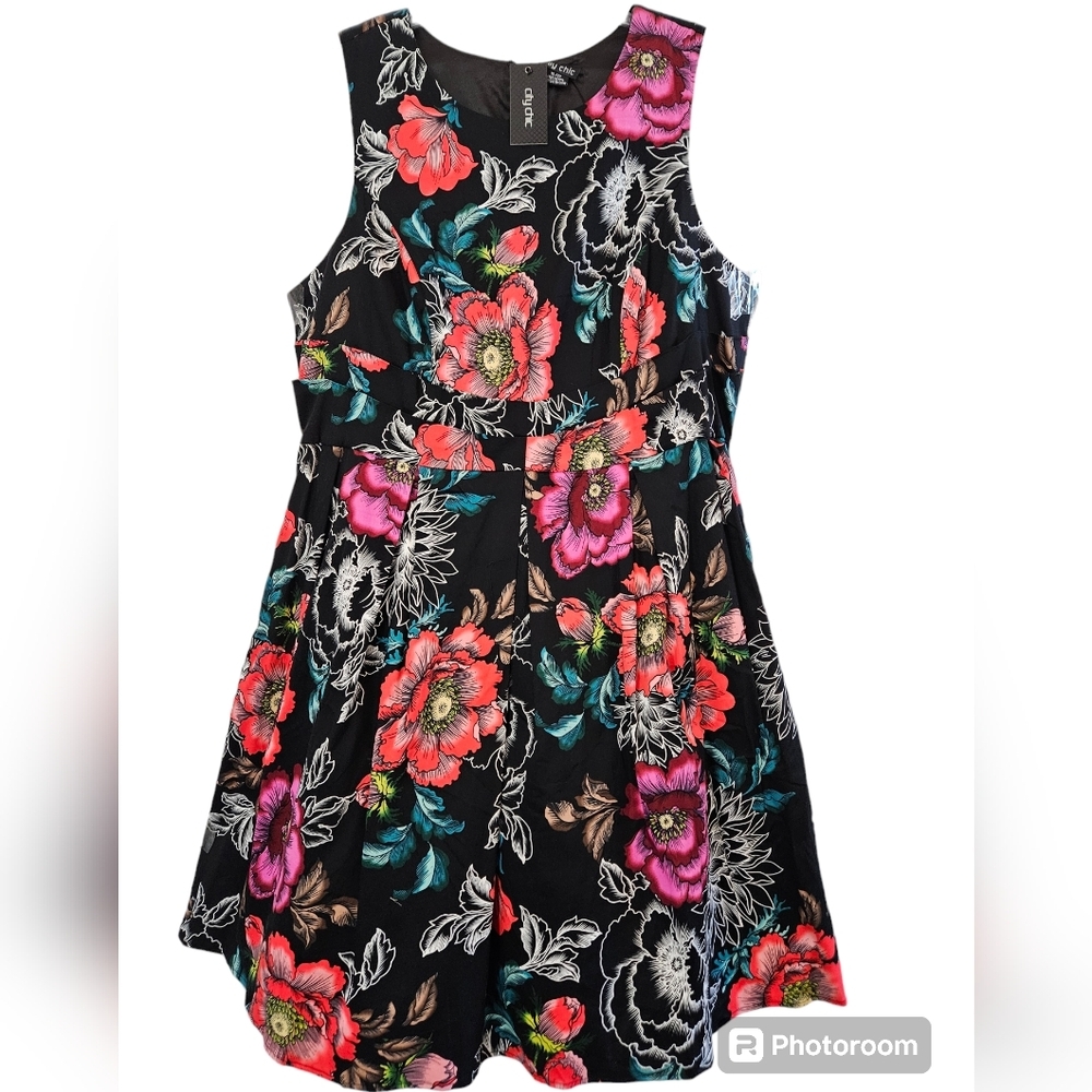 Floral Sleeveless Fit & Flare Dress - Black with Multicolor Flowers